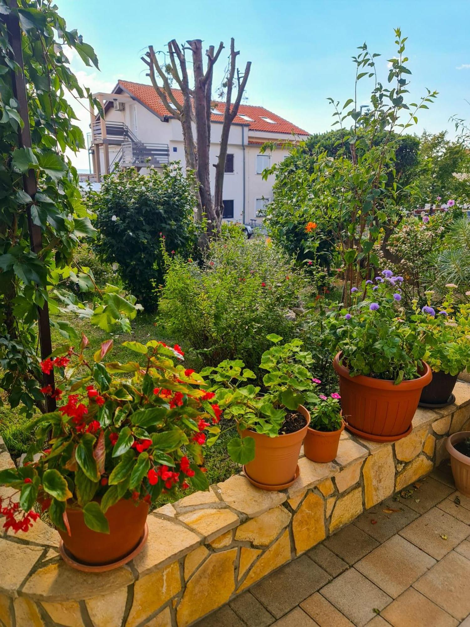 Apartments Marko Новий Винодольський Номер фото